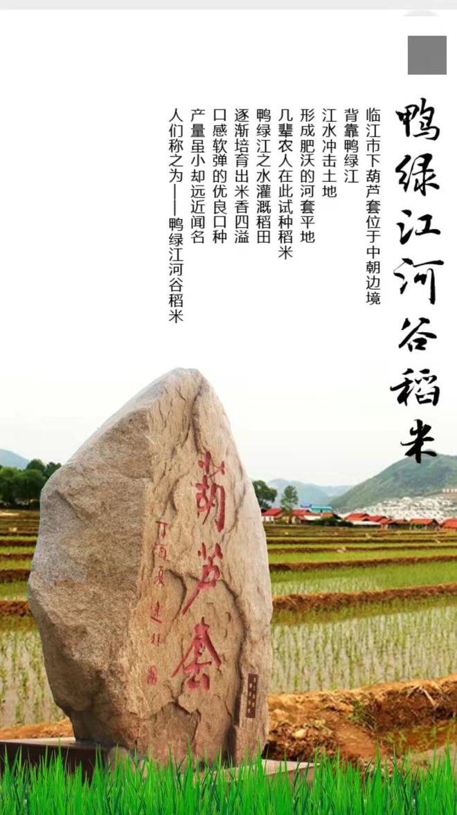 长白山富硒大米(富硒大米好在哪)-硒宝网