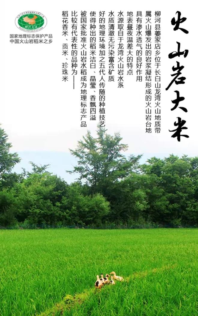 长白山富硒大米(富硒大米好在哪)-硒宝网