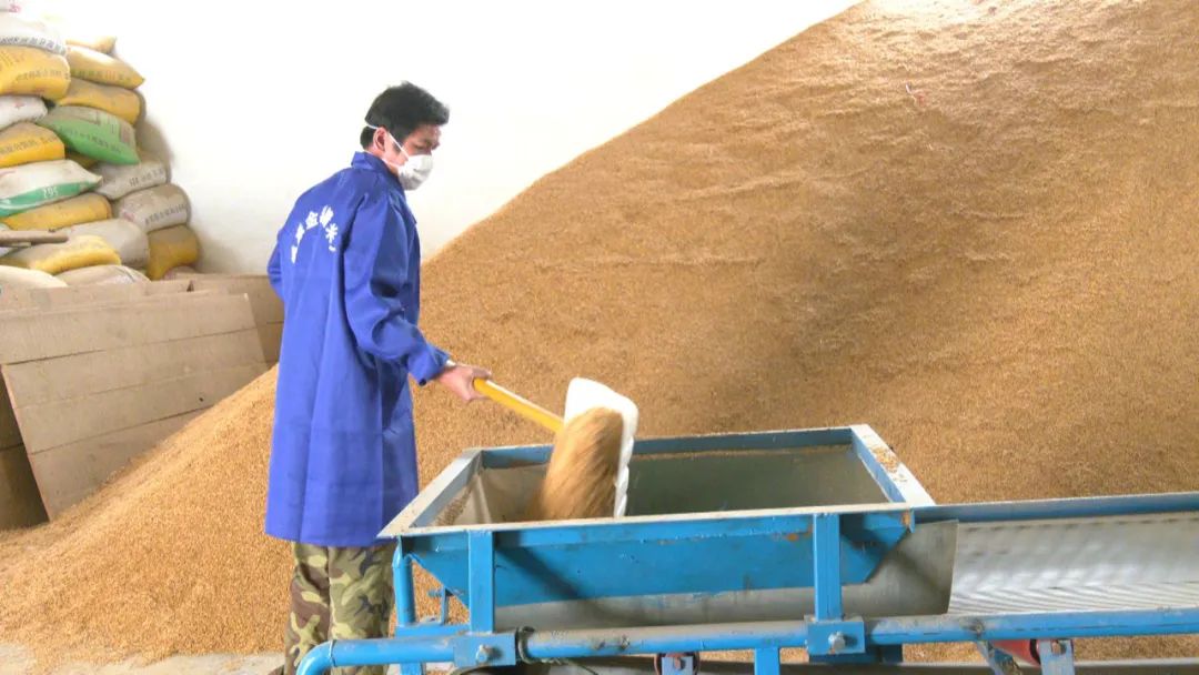 富硒大米深加工(富硒大米市场前景)-硒宝网