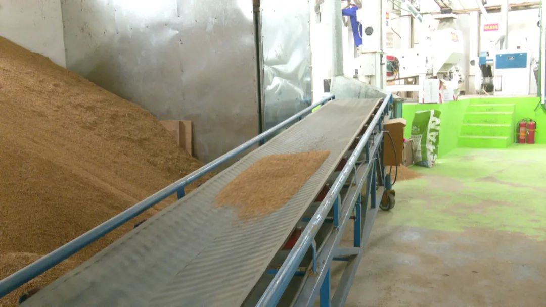 富硒大米深加工(富硒大米市场前景)-硒宝网