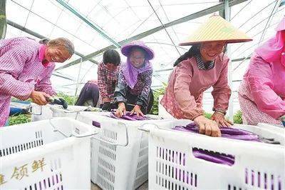 益生禾富硒大米（富硒大米的好处）-硒宝网