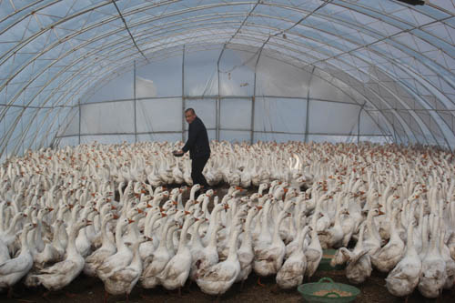 绥棱县富硒大米(黑龙江富硒大米产地)-硒宝网