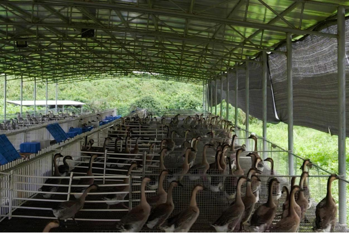 绥棱县富硒大米(黑龙江富硒大米产地)-硒宝网