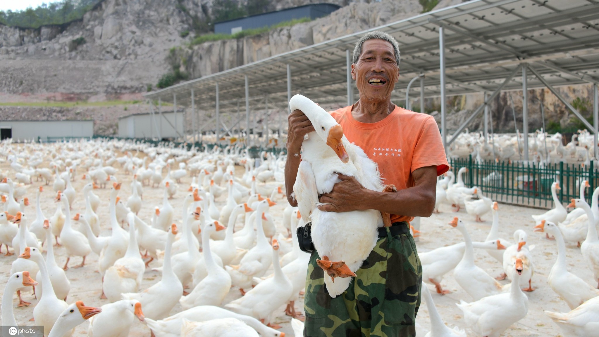 绥棱县富硒大米(黑龙江富硒大米产地)-硒宝网