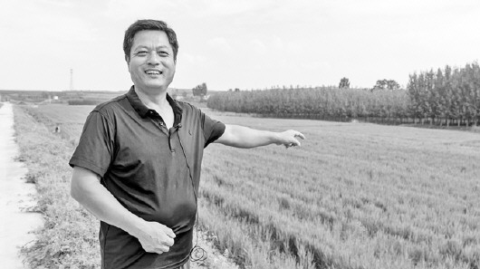 洋岭村富硒大米（柳河大米姐富硒大米）-硒宝网