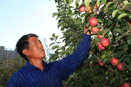 上犹县富硒大米(赣南富硒大米)-硒宝网