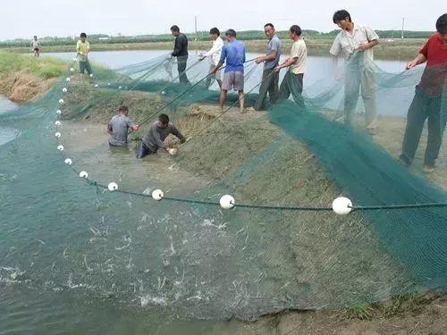 上犹县富硒大米(赣南富硒大米)-硒宝网