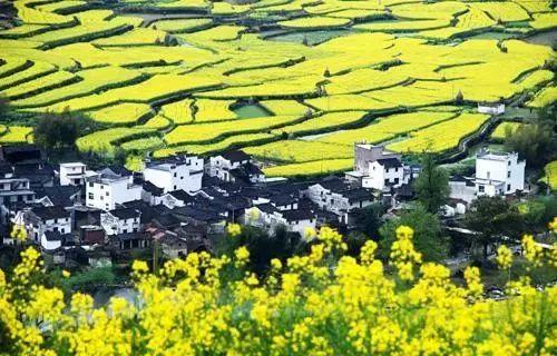 上犹县富硒大米(赣南富硒大米)-硒宝网