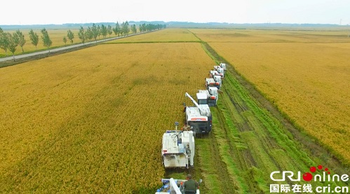 富硒大米第一县(富硒大米好在哪)-硒宝网