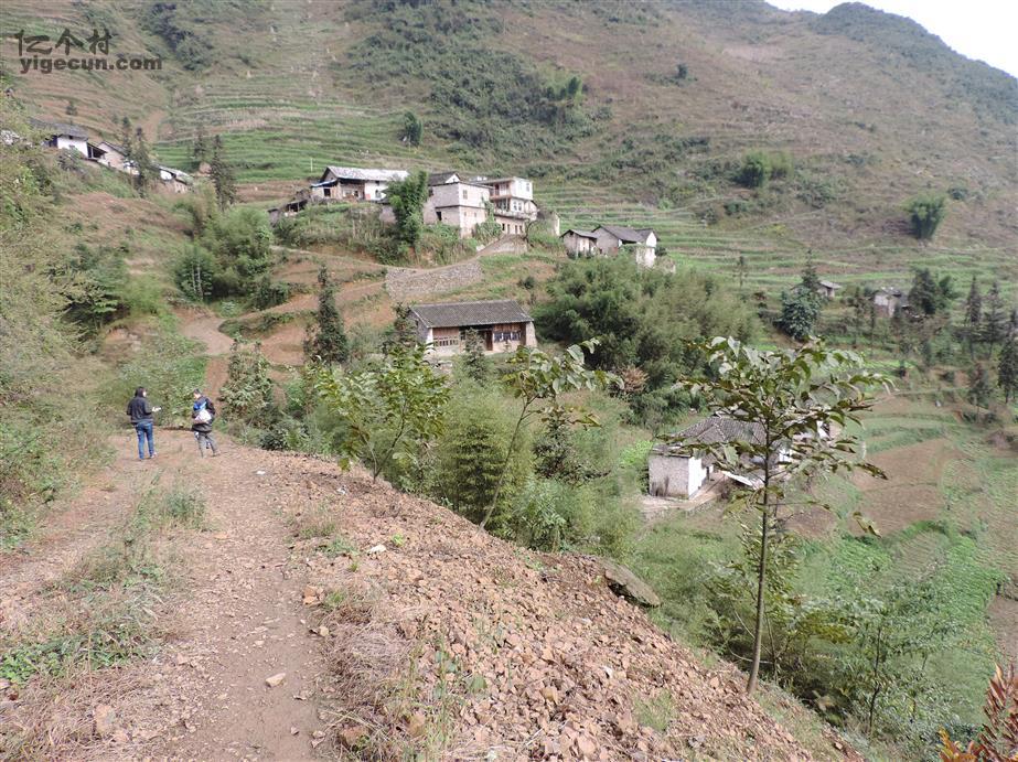 双阳区富硒大米（富硒大米2.5kg价格）-硒宝网