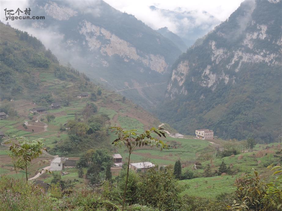 双阳区富硒大米（富硒大米2.5kg价格）-硒宝网