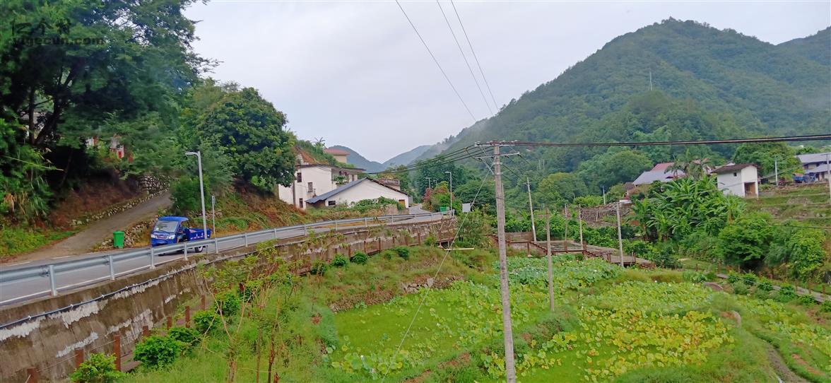 双阳区富硒大米（富硒大米2.5kg价格）-硒宝网