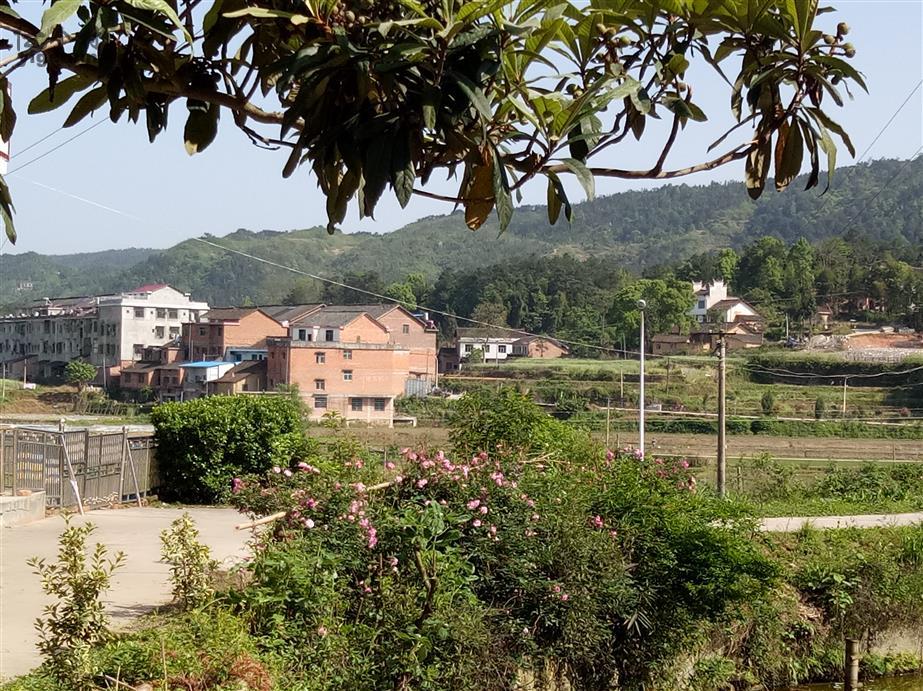 双阳区富硒大米（富硒大米2.5kg价格）-硒宝网