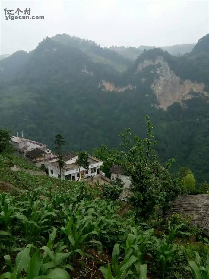 双阳区富硒大米（富硒大米2.5kg价格）-硒宝网