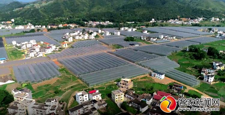 富硒大米发布会(大米发布富硒会降价吗)-硒宝网