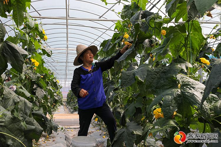 富硒大米发布会(大米发布富硒会降价吗)-硒宝网