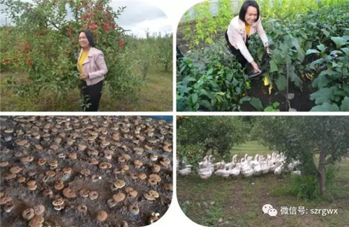 保清县富硒大米（宝清富硒大米）-硒宝网