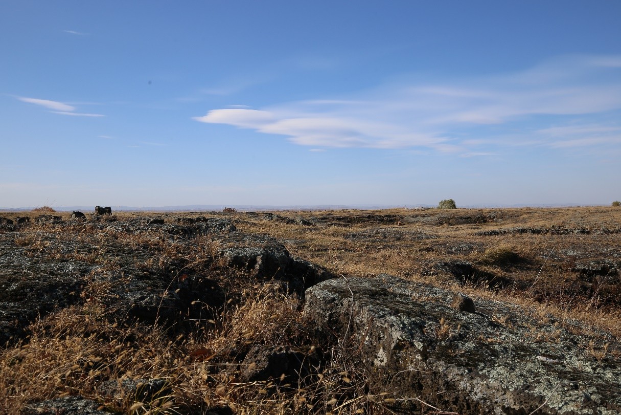火山岩大米富硒（大米火山岩富硒含量高吗）-硒宝网