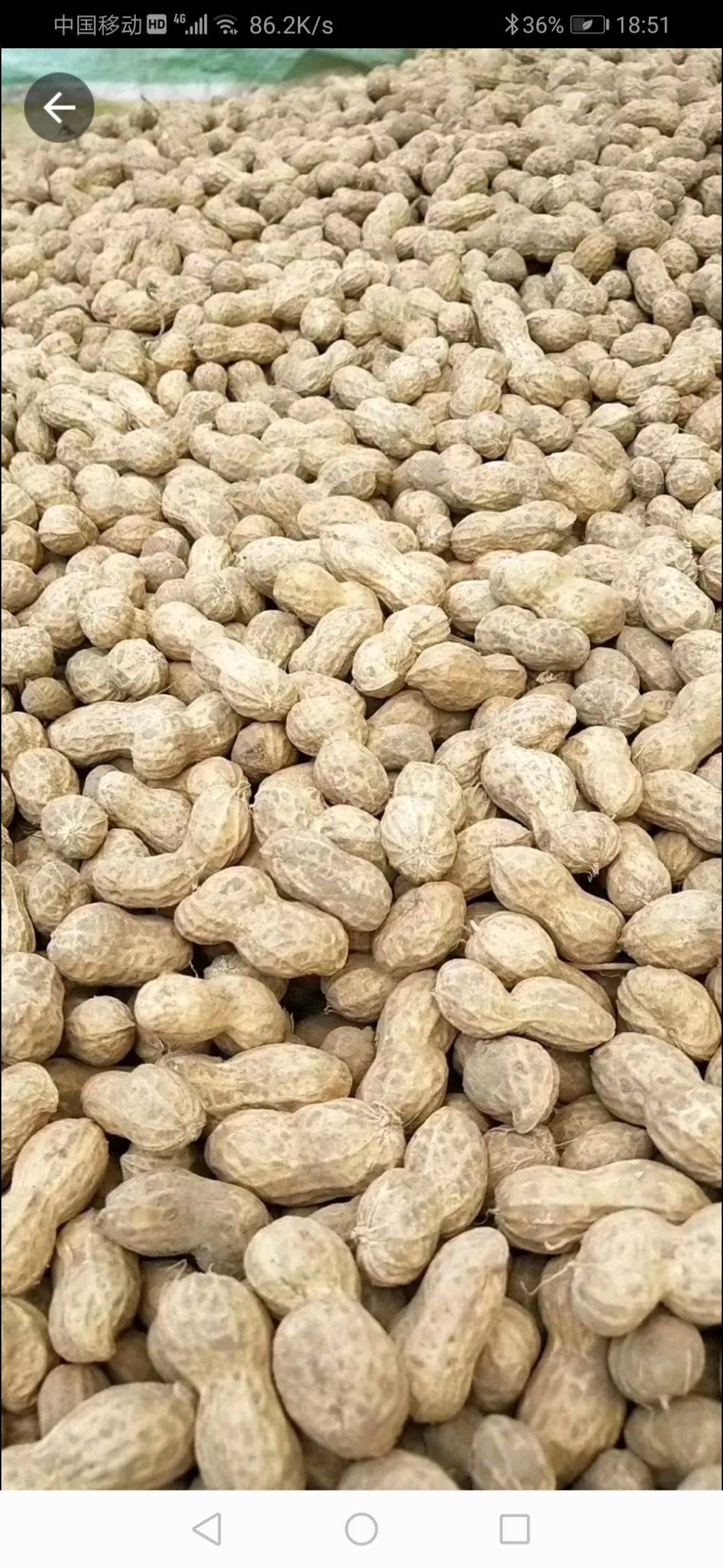 富硒大米发布会（富硒大米发黄吗）-硒宝网