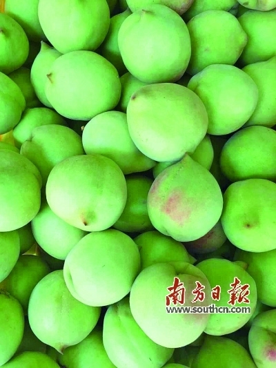 寻乌县富硒大米(富硒大米基地)-硒宝网