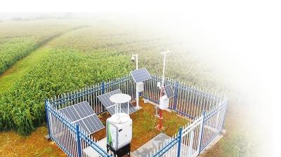 金粟康富硒大米(富硒大米5kg多少钱)-硒宝网