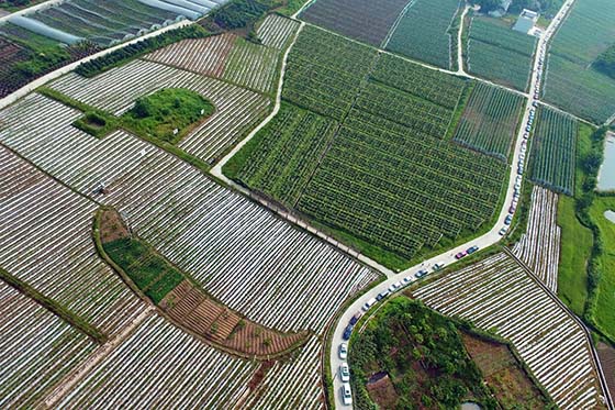 柳江县富硒大米(十堰富硒大米骗局)-硒宝网