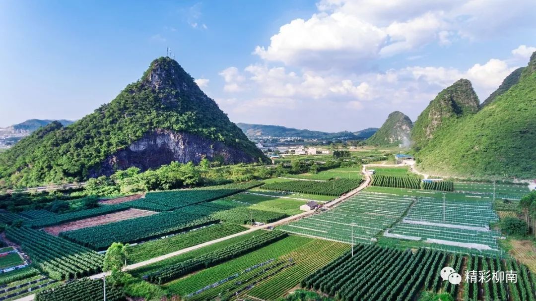 柳江县富硒大米(十堰富硒大米骗局)-硒宝网