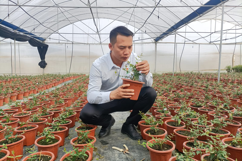 柳江县富硒大米（富硒大米基地）-硒宝网