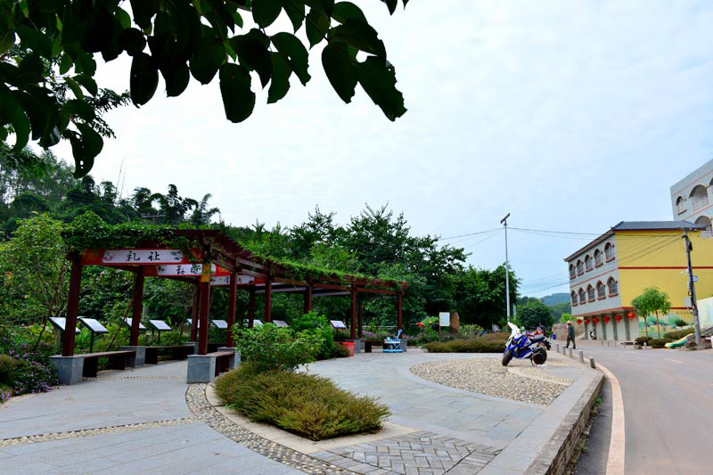 柳江县富硒大米（富硒大米基地）-硒宝网