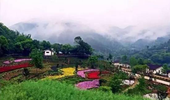 峡江县富硒大米（江西富硒大米多少钱一斤）-硒宝网