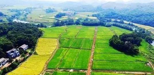 峡江县富硒大米（江西富硒大米多少钱一斤）-硒宝网