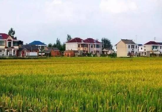 峡江县富硒大米（江西富硒大米多少钱一斤）-硒宝网