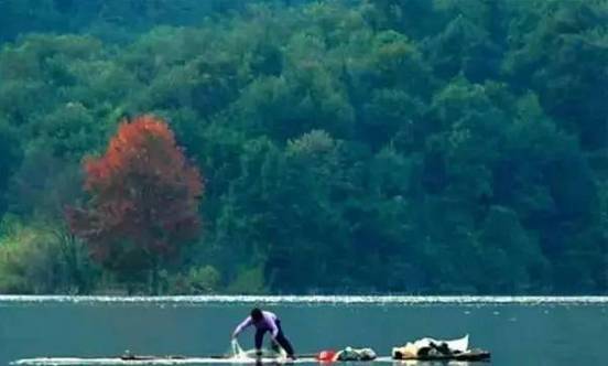 峡江县富硒大米（江西富硒大米多少钱一斤）-硒宝网