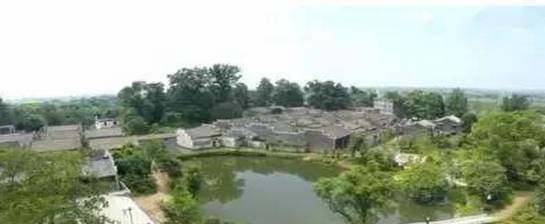 峡江县富硒大米（江西富硒大米多少钱一斤）-硒宝网