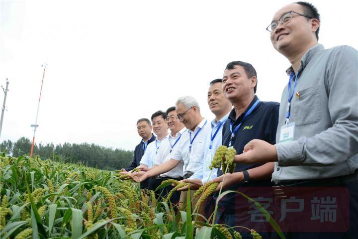 金粟康富硒大米(富硒大米的绿色骗局)-硒宝网