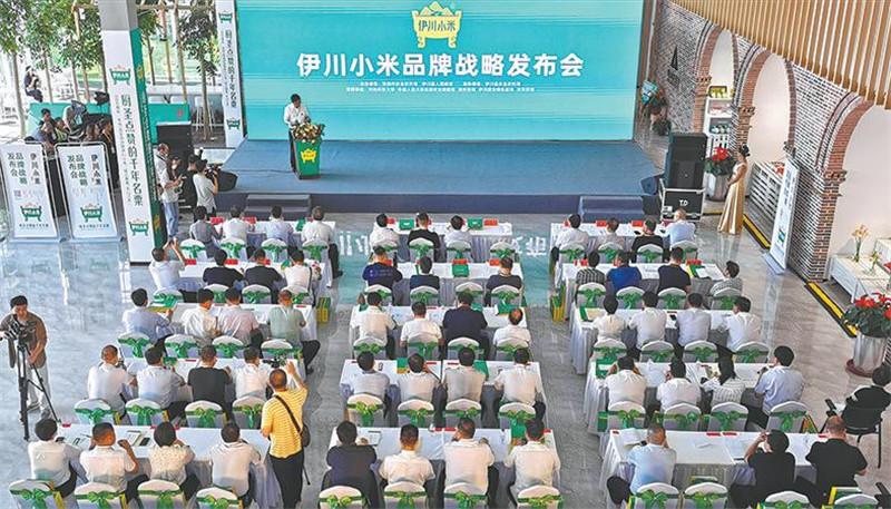 金粟康富硒大米(富硒大米的功效)-硒宝网