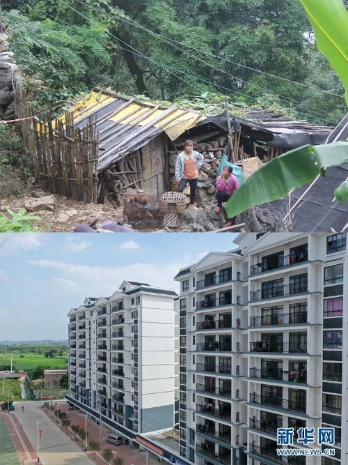 潭头村富硒大米(龙潭富硒大米)-硒宝网