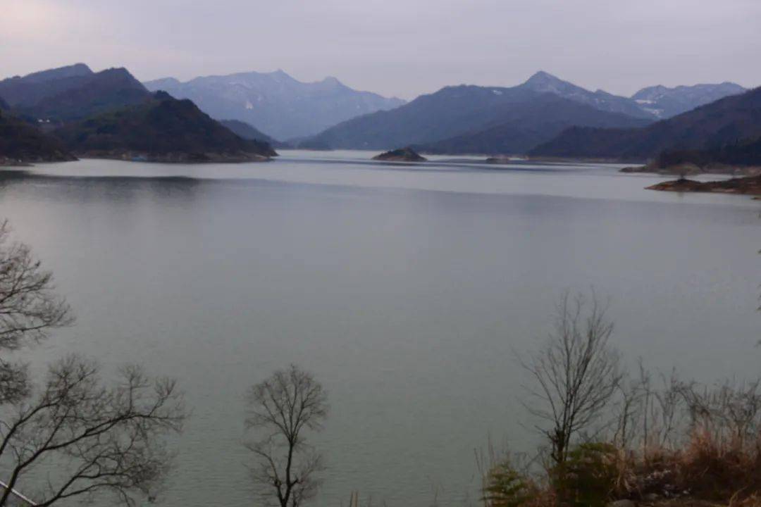 富硒大米亩产量(大米亩产量富硒多少)-硒宝网