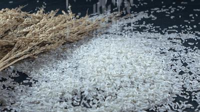 博白县富硒大米（富硒大米传销）-硒宝网