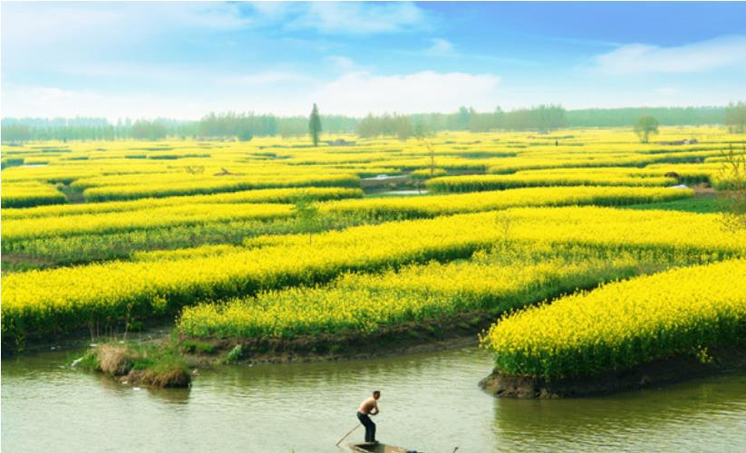 河南省富硒大米（济源富硒大米）-硒宝网