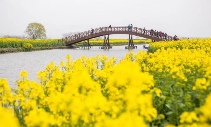 河南省富硒大米（济源富硒大米）-硒宝网