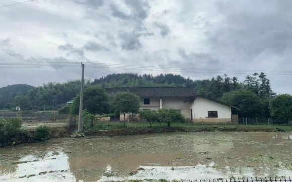 原乡源富硒大米（富硒优质大米）-硒宝网