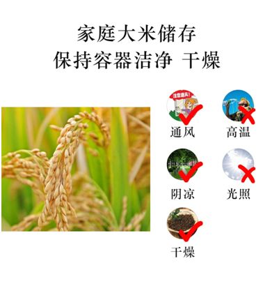 富硒大米生虫吗（大米虫对身体有危害么）-硒宝网