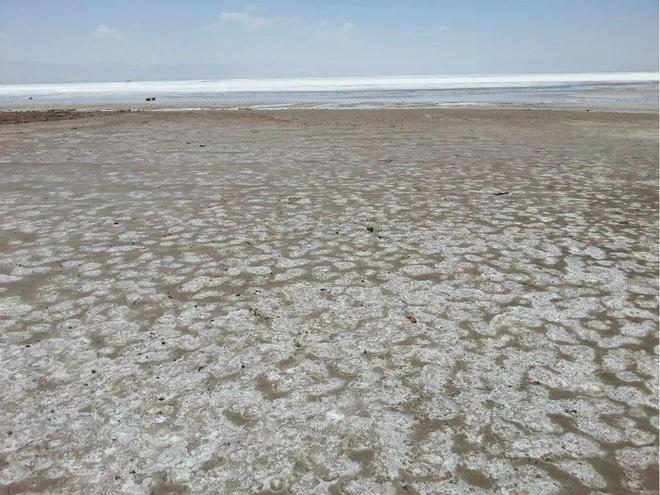 富硒大米去哪买(富硒大米不好吃)-硒宝网