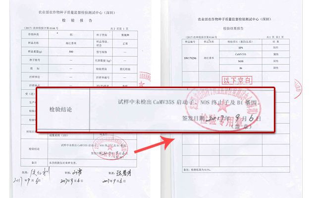 富硒大米去哪买(富硒大米不好吃)-硒宝网