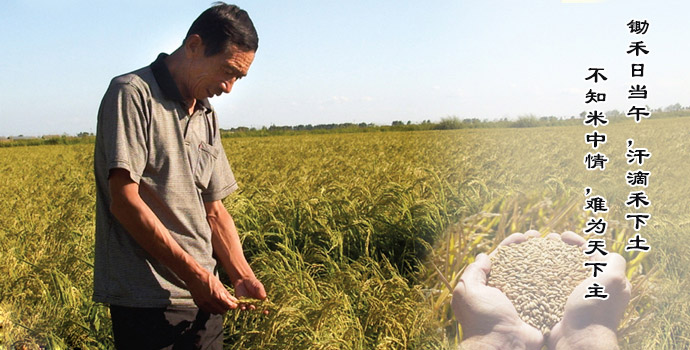 宝莲香富硒大米(富硒大米产地)-硒宝网