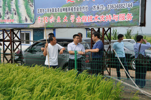 王三益富硒大米(富硒大米视频功效)-硒宝网