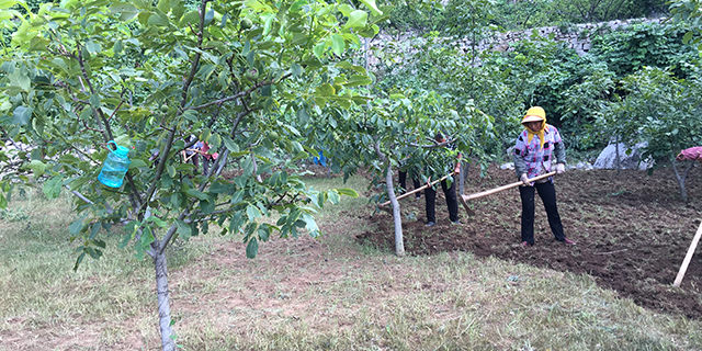 富硒大米粥升糖（富硒大米血糖高可以吃吗）-硒宝网