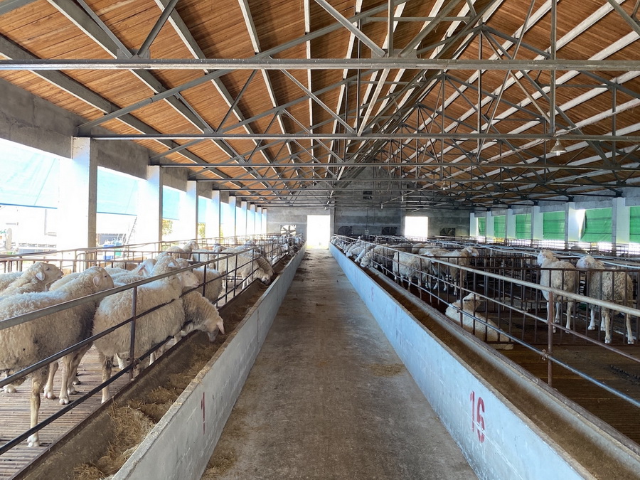 城厢镇富硒大米（富硒大米多少钱一盒）-硒宝网