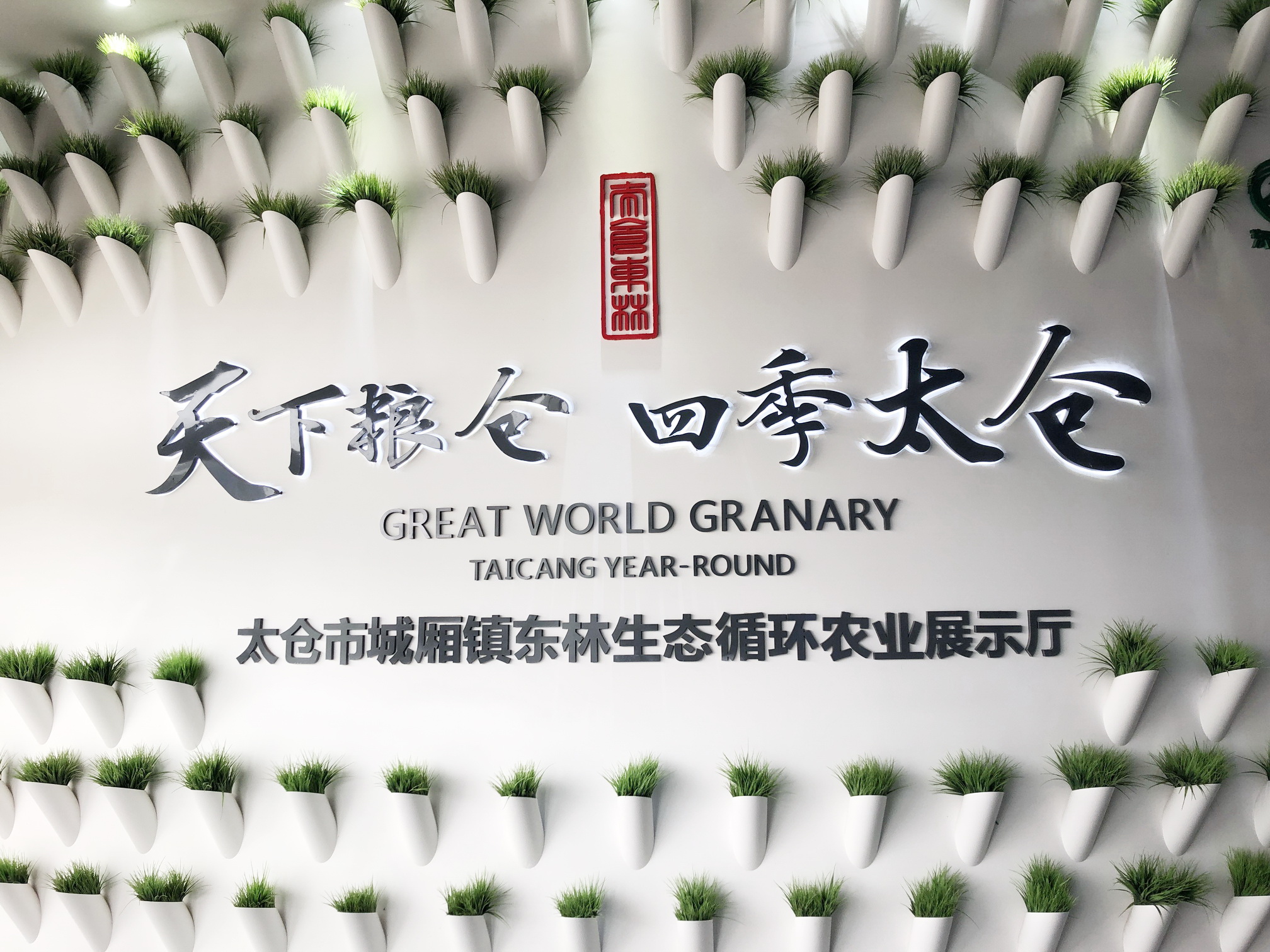 城厢镇富硒大米（富硒大米多少钱一盒）-硒宝网